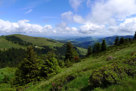663958 (a): :2570x1715